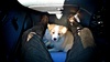 Another car ride!