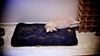 Another odd sleeping position