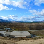 View from the top of Mt Difficulty vineyard