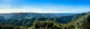 Beautiful day, beautiful walk, beautiful view. Up the back of Karori Park.