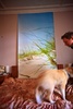 Family portrait on the bed ….. Why? I don't know! Why not?