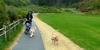 Today we were lucky enough to have lunch with Alex - then a walk in the park with Trish and Mayah. The drizzle didn't stop us!