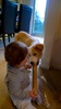 Lyon meets his match with a very puppy friendly Grey. Endless laughs!