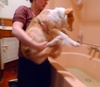 Lyon gets his first bath!