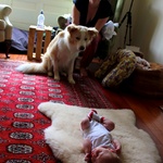 Lyon is fascinated by the bubs
