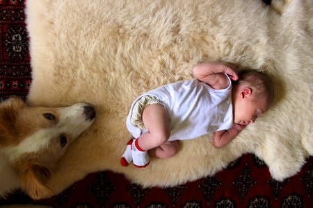 Lyon, the expert dirty nappy checker