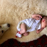 Lyon, the expert dirty nappy checker