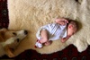 Lyon, the expert dirty nappy checker