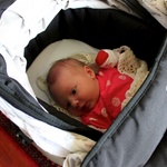 Getting ready for another stroll around the park