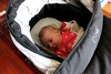 Getting ready for another stroll around the park