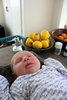 At one with the lemons