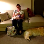 Good old feeding time at the Pecks