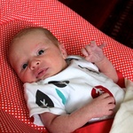 2 weeks old
