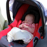 Olive slept through most of brunch