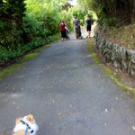Botanical Gardens walk with the Thompsons
