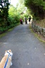 Botanical Gardens walk with the Thompsons