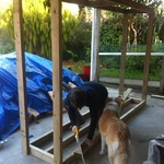 The wood shed construction begins