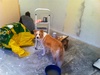 Painting time!