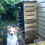 The roof (version 1) goes up on the wood shed