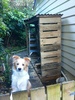 The roof (version 1) goes up on the wood shed