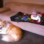 Olive enjoys the $50 couch after a clean, in the office.