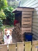 Version 2 of the wood shed roof is attached. A little overkill, but oh well! Gotta have dry wood!