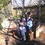 Enjoying the morning sunshine on the retaining wall