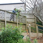 The dead flax bushes get lumped into the wall as a filler.