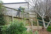 The dead flax bushes get lumped into the wall as a filler.