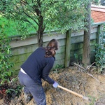 Gini attacks a tree with an axe. Hardly makes a scratch.