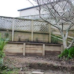 The retaining wall with it's new plants.