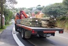 The wood arrives! Too big to fit down the drive, so it is shunted through the bush.