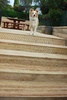 Including steps down to Lyons toilet