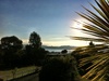 Made it safe and sound to a beautiful Taupo afternoon. Olive slept well between two feed breaks.
