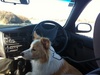 Lyon takes the wheel on car ride home
