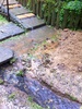 The drain proves it's worth - as it diverts the torrent of water away from under the house. Quite chuffed we are feeling today after a torrential downpour puts it to the test. Here's hoping the office stays dry!