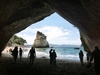 Today we took a short bush walk to Cathedral Cove for a lovely swim.