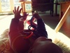 Enjoying the sunny toes