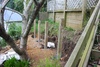 The stage is set as we get underway on the first task for the back yard - the second tier retaining wall. The posts are now in place!