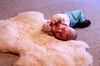 This morning Olive wiggled a 180 off the sheepskin to get a better look at the fire.