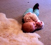 This morning Olive wiggled a 180 off the sheepskin to get a better look at the fire.
