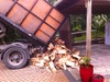 Got wood? We've got wood! Just in the nick of time too.