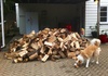 Got wood? We've got wood! Just in the nick of time too.