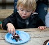 Happy 2nd Birthday Alex! A fun party at the Barn at Staglands.