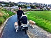 Out for a walk with a new member of the tang pad - Myah.