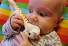 Sophie munching. Olive loves the texture of Sophie the giraffe, a present from Aunty Lauren and Uncle Paul.