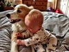 Fun in the bed with Mr Stinkle.
