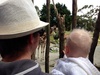 Today we ventured to the zoo with friends for a walk and a picnic.