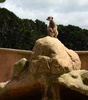 Today we ventured to the zoo with friends for a walk and a picnic.