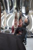 Mucking around at the Southward Car Museum, Raumati, including 3 buggy chain stair traverse!